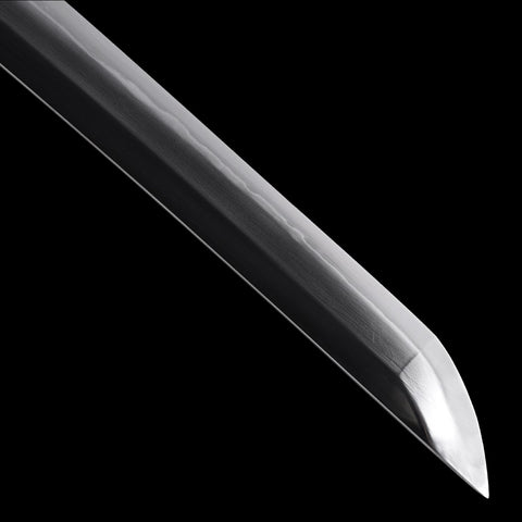 Premium collector grade hand forged T10 dragon scale katana sword