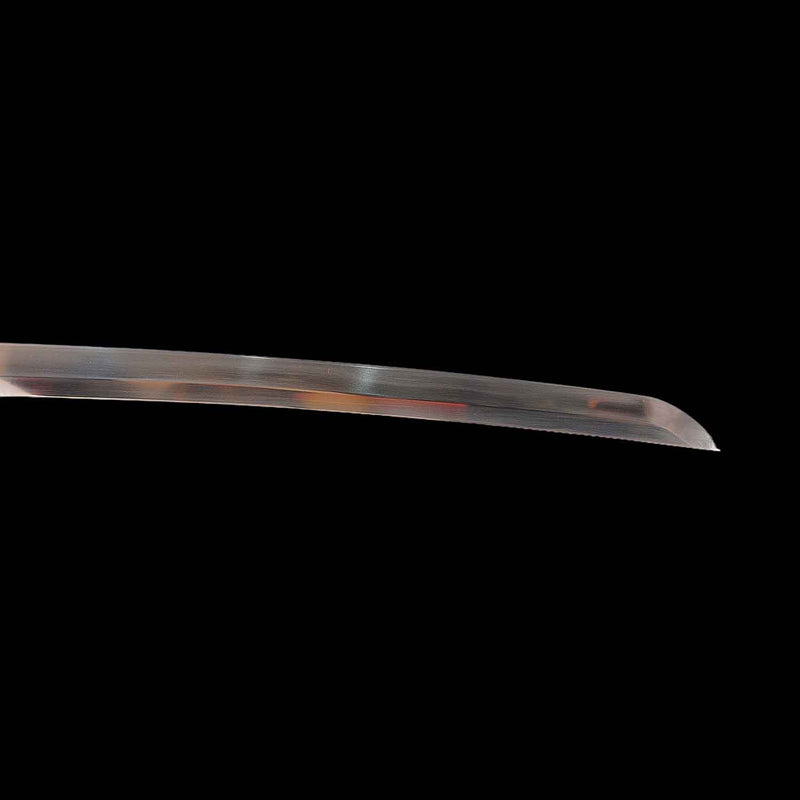 Shusui Katana Sword Zoro One Piece 1095 Carbon Steel Hand Forged 